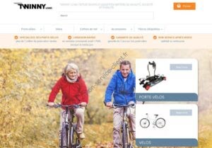 Aperçu du site web Twinny