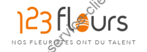 Logo 123fleurs