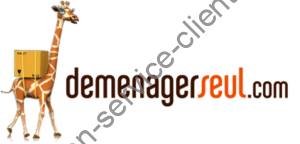 Logo Demenagerseul.com