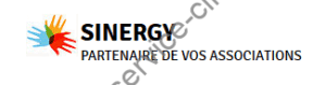 logo sinergy