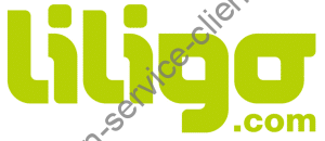 Logo liligo.com