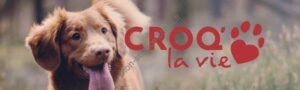 Logo officiel de la marque Croq la vie avec photo d'un chien